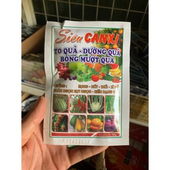 Siêu can xi quả to, dưỡng quả